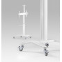 TV SET ACC FLOOR STAND 37-70/WHITE TVS-70T-02-W GEMBIRD