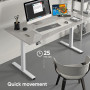 DESK FRAME MOTORISED/WHITE WDF221E-W ONKRON