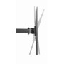 TV SET ACC WALL MOUNT 32-55/WM-55ST-03 GEMBIRD