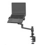 NB ACC DESK STAND 11.6-17.3/DS20-425BL1 NEOMOUNTS