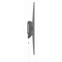 TV SET ACC WALL MOUNT 43-100/WM-100T-01 GEMBIRD