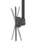TV SET ACC CEILING MOUNT/37-70 CL35-440BL16XL NEOMOUNTS