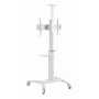 TV SET ACC FLOOR STAND 37-70/WHITE TVS-70T-02-W GEMBIRD