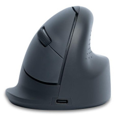 MOUSE USB OPTICAL WRL BASIC/R. GREY RGOHEBAMRWL R-GO TOOLS