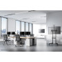 TV SET ACC FLOOR STAND 37-70/FL50-550BL1 NEOMOUNTS
