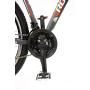 BICYCLE MTB AIM 1.2/R:29 F:20 GR/RED ROCKSBIKE
