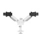 MONITOR ACC DESK MOUNT 24-34/DUAL DS65S-950WH2 NEOMOUNTS