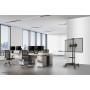 TV SET ACC FLOOR STAND BLACK/32-75 NM-M1700BLACK NEOMOUNTS