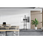 TV SET ACC FLOOR STAND 37-70/FL50-550BL1 NEOMOUNTS