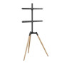 TV SET ACC FLOOR STAND 32-65/TRIPOD TVS-65S-01 GEMBIRD