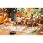 VACUUM CLEANER ROBOT/J20 EUREKA