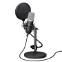 MICROPHONE GXT 252 EMITA/21753 TRUST
