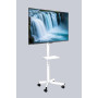 TV SET ACC FLOOR STAND 32-55/TVS-55T-03-W GEMBIRD