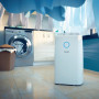 DEHUMIDIFIER & AIR PURIFIER/DE3306/11 PHILIPS