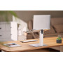 NB ACC RISER STAND ADJUSTABLE/SILVER NBS-D1-02 GEMBIRD