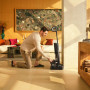 Vacuum Cleaner, ROBOROCK, F25 ACE COMBO, Upright/Wet/dry/Cordless, Noise 78 dB, Weight 4.7 kg, WD5M6A522-00