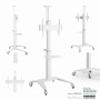 TV SET ACC FLOOR STAND 37-70/WHITE TVS-70T-02-W GEMBIRD