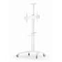 TV SET ACC FLOOR STAND 37-70/WHITE TVS-70T-02-W GEMBIRD