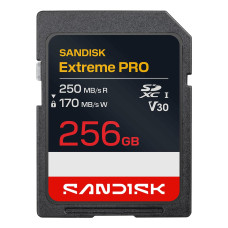 MEMORY SDXC 256GB UHS-1/SDSDXXJ-256G-GSCIN SANDISK