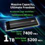 SSD, AGI, 750xTBW rating, MTBF 2000000 h, Read speed 7400 MB/s, Write speed 5200 MB/s, NVMe Yes, PCI Express 4.0, M.2, 1000 GB, AGI1T0G44AI828-CB