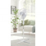 FAN TOWER/DO8141 DOMO
