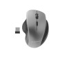 MOUSE USB OPTICAL WRL BLACK/SP. GREY MUSW-6B-02-BG GEMBIRD
