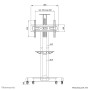TV SET ACC FLOOR STAND BLACK/32-75 NM-M1700BLACK NEOMOUNTS