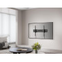TV SET ACC WALL MOUNT 43-100/WM-100T-01 GEMBIRD