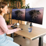 MONITOR ACC ARM CAPARO DUAL/RGOVLCA4TWSI R-GO TOOLS