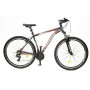 BICYCLE MTB AIM 1.2/R:29 F:20 GR/RED ROCKSBIKE