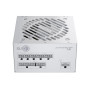 Power Supply, SEASONIC, CORE GX White, ATX, 750 W, SRP-CGX751-A5A32SF-W