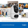 WRL CAMERA PAN/TILT/DUAL TAPO C245D TP-LINK