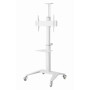 TV SET ACC FLOOR STAND 37-70/WHITE TVS-70T-02-W GEMBIRD
