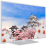 TV Set,HITACHI,43,4K/Smart,3840x2160,Wireless LAN,Bluetooth,Android,43HK5300W