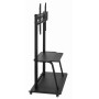 TV SET ACC FLOOR STAND 37-100/TVS-100F-01 GEMBIRD