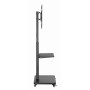 TV SET ACC FLOOR STAND 37-75/BLACK TVS-75S-02 GEMBIRD