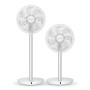 FAN STANDING TUKAN/COP001213 STYLIES
