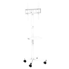 TV SET ACC FLOOR STAND 32-55/TVS-55T-03-W GEMBIRD