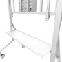 TV SET ACC FLOOR STAND 65-110/FL50-575WH1 NEOMOUNTS