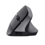 MOUSE USB OPTICAL WRL BAYO II/ERGO BLK 25145 TRUST