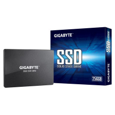 SSD,GIGABYTE,256GB,SATA 3.0,Write speed 500 MBytes/sec,Read speed 520 MBytes/sec,2,5,TBW 100 TB,MTBF 2000000 hours,GP-GSTFS31256GTND