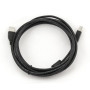 CABLE USB2 AM-BM 3M/CCF-USB2-AMBM-10 GEMBIRD