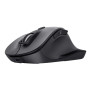 MOUSE USB OPTICAL WRL/FYDA 25708 TRUST