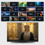 TV Set, PANASONIC, 65, OLED/4K/Smart, 3840x2160, Wireless LAN, Bluetooth, Google TV, TV-65Z95AEG
