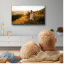 TV Set, THOMSON, 43 , 4K Ultra HD, 1920 x 1080 pixels, Flat, 16:9, LED, 43FD2S13