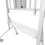 TV SET ACC FLOOR STAND 65-110/FL50-575WH1 NEOMOUNTS