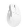 MOUSE USB OPTICAL WRL BAYO+/ERGONOMIC WHT 25399 TRUST