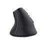 MOUSE USB OPTICAL ERGONOMIC/VOXX 23731 TRUST