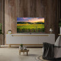 TV Set, THOMSON, 50, 4K/Smart, QLED, 3840x2160, Bluetooth, Google TV, 50QG5C14