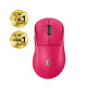 MOUSE USB WRL PRO X SUPERLIGHT/2DEX BLACK 910-007373 LOGITECH